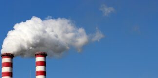 Jak udowodnić że ktoś pracuje na czarno?