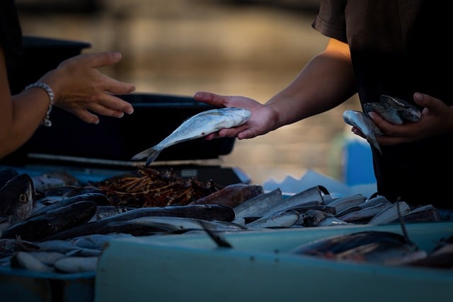 Czego nie można sprzedawać w internecie? Czego nie można sprzedawać w internecie?
