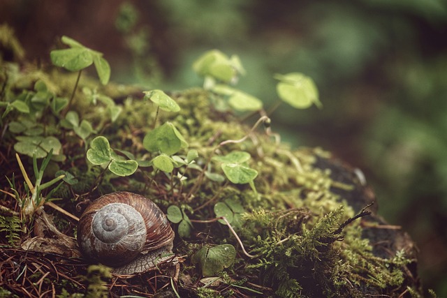Kto zakłada sondę do żołądka lekarz czy pielęgniarka? Kto zakłada sondę do żołądka lekarz czy pielęgniarka?