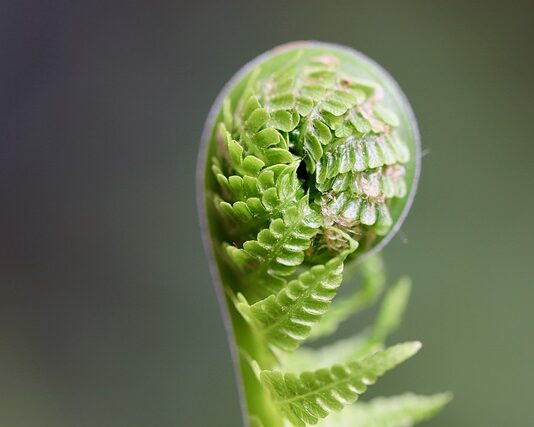 Jak rozwijać kompetencje cyfrowe w przedszkolu? Jak rozwijać kompetencje cyfrowe w przedszkolu?