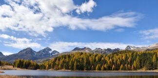 Czy zaświadczenie od pracodawcy wlicza się do stażu pracy?