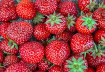 Jak zacząć zebranie? Jak zacząć zebranie?