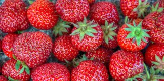 Jak zacząć zebranie? Jak zacząć zebranie?