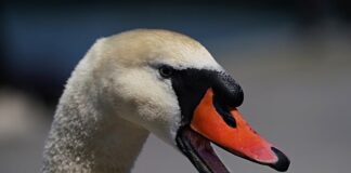 Jak zarządzać procesami w firmie? Jak zarządzać procesami w firmie?