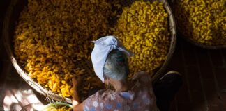 Co się składa na proces technologiczny? Co się składa na proces technologiczny?