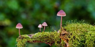 Jakie są rodzaje e-commerce? Jakie są rodzaje e-commerce?