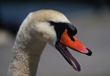 Jak dobrze zarządzać zespołem ludzi?