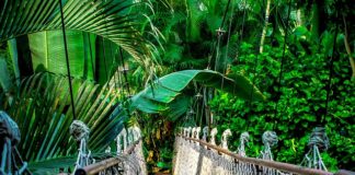 Jakie kursy IT warto zrobić? Jakie kursy IT warto zrobić?