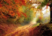 Ile dni ma rok finansowy?