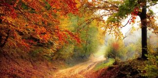 Ile dni ma rok finansowy? Ile dni ma rok finansowy?