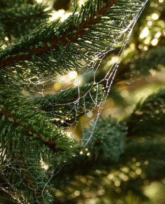 Jakie są potrzeby edukacyjne człowieka dorosłego?