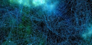 Co regeneruje neurony? Co regeneruje neurony?