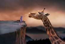 Na czym polega karmienie pozajelitowe? Na czym polega karmienie pozajelitowe?