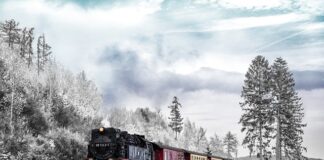 Czy transport i dystrybucja to to samo? Czy transport i dystrybucja to to samo?