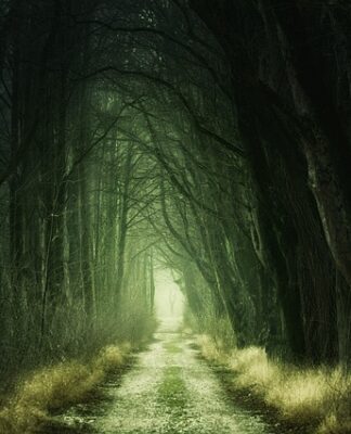 W którym roku było przejście człowieka do osiadłego trybu życia?