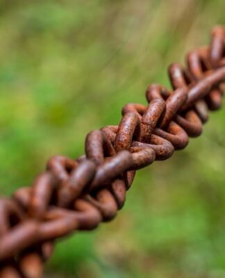 Jakie są ogniwa nauczania?