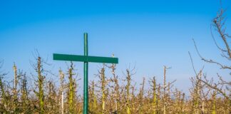 Czy dyrektor ma obowiązek wprowadzić regulamin dofinansowania doskonalenia zawodowego nauczycieli w szkole? Czy dyrektor ma obowiązek wprowadzić regulamin dofinansowania doskonalenia zawodowego nauczycieli w szkole?