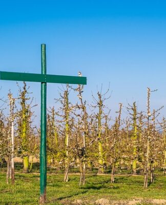 Czy dyrektor ma obowiązek wprowadzić regulamin dofinansowania doskonalenia zawodowego nauczycieli w szkole?