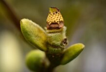 W jaki sposób rozwijamy kompetencje kluczowe u dzieci?