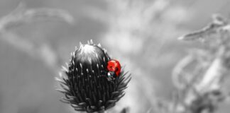 Co zrobić żeby mieć wypukła pupę? Co zrobić żeby mieć wypukła pupę?