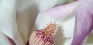 Co wpływa na funkcjonowanie ucznia w szkole? Co wpływa na funkcjonowanie ucznia w szkole?