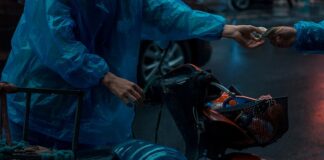 Ile paczek dziennie dostarcza kurier? Ile paczek dziennie dostarcza kurier?