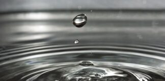 Czy kroplówka może zastępuje jedzenie? Czy kroplówka może zastępuje jedzenie?