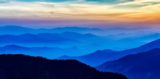 Czy doradca podatkowy może pracować zdalnie? Czy doradca podatkowy może pracować zdalnie?