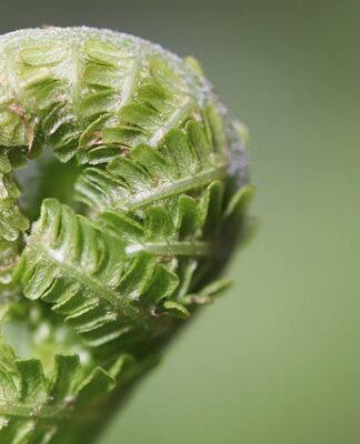 Jak rozwijać kompetencje kluczowe?