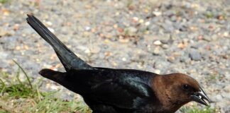 W jakim kraju jest najgorszy system edukacji? W jakim kraju jest najgorszy system edukacji?