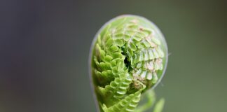 Jakie umiejętności można rozwijać?